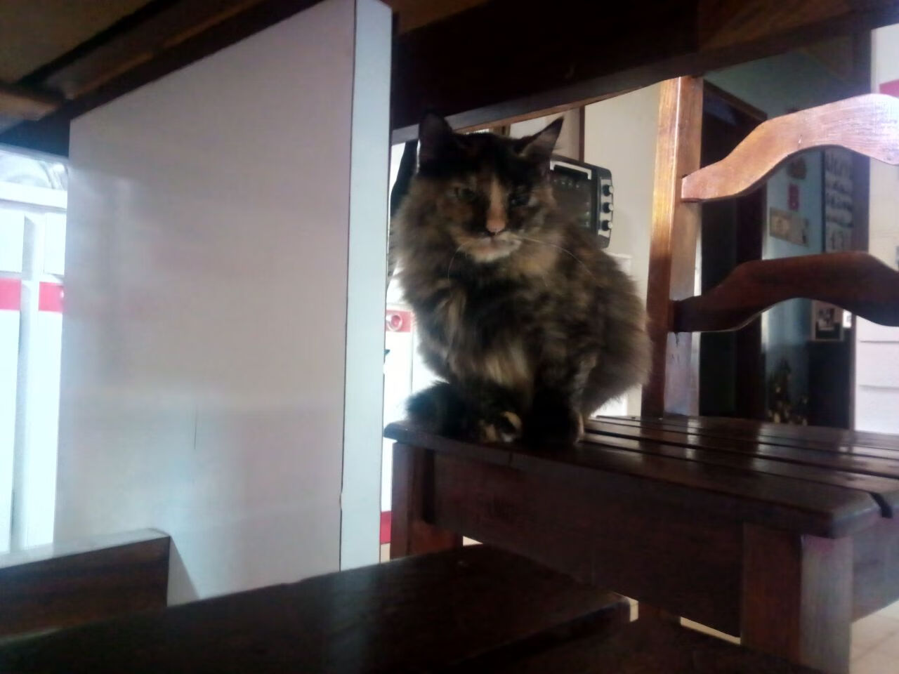 开云·Kaiyun网页版-_快船队提升整体水平，胜利在望_，快船队位置