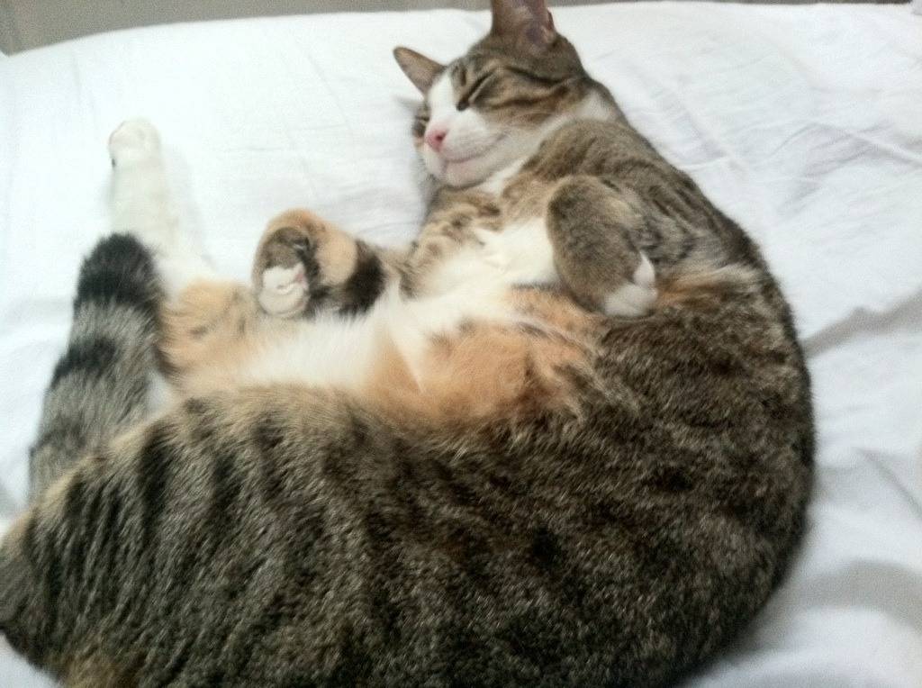 开云APP-_网球教练的秘密武器：专业技巧他一一揭秘_，网球教练视频教程