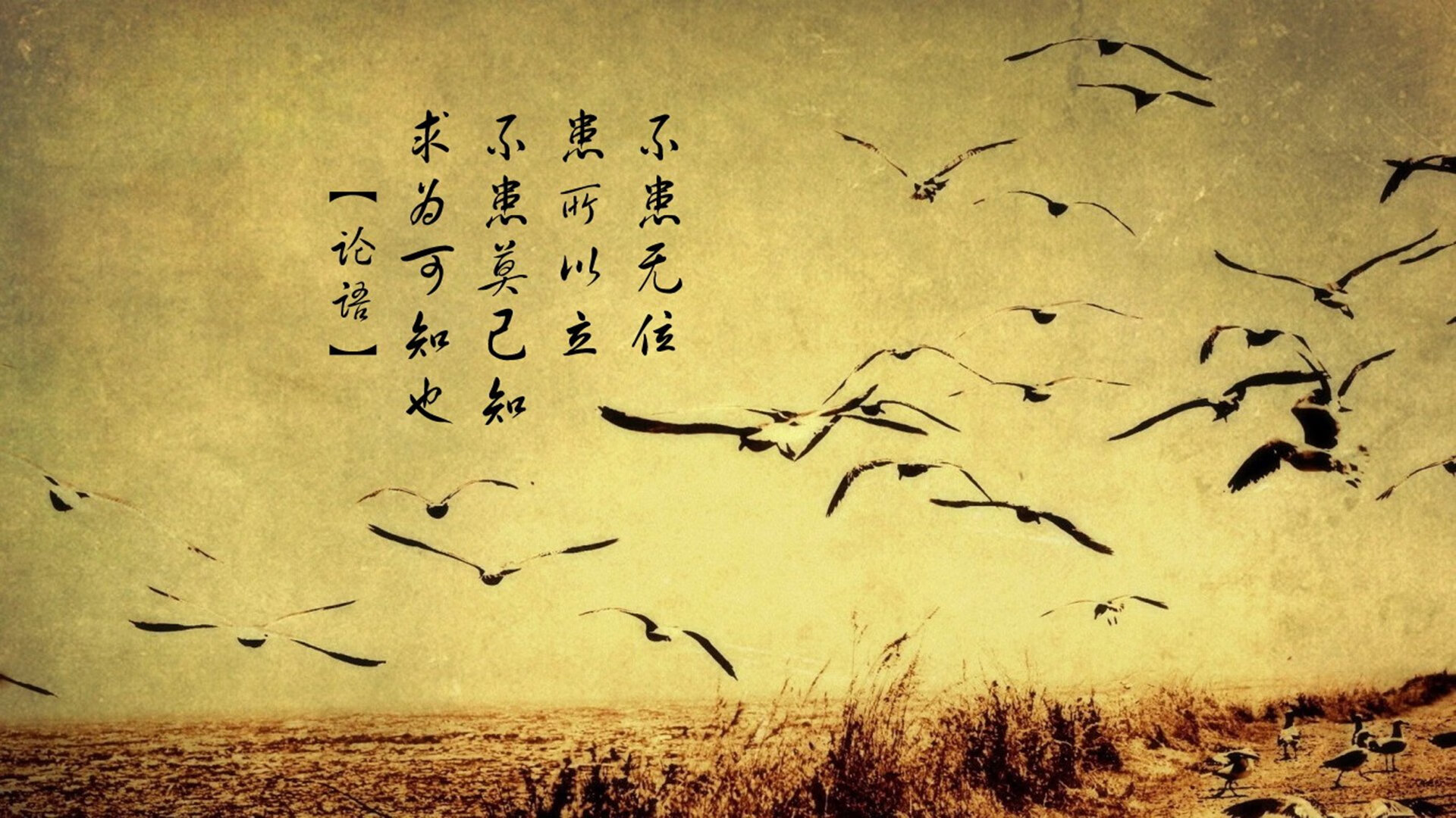 开云中国-_绿色骑行挑战：用行动守护地球家园_，绿色骑行的目的和意义