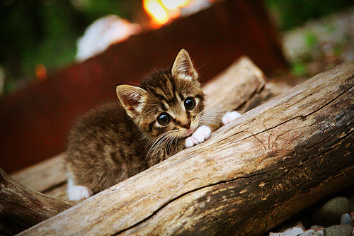 开云APP-“史上最震撼的封盖瞬间集锦”，封盖图片