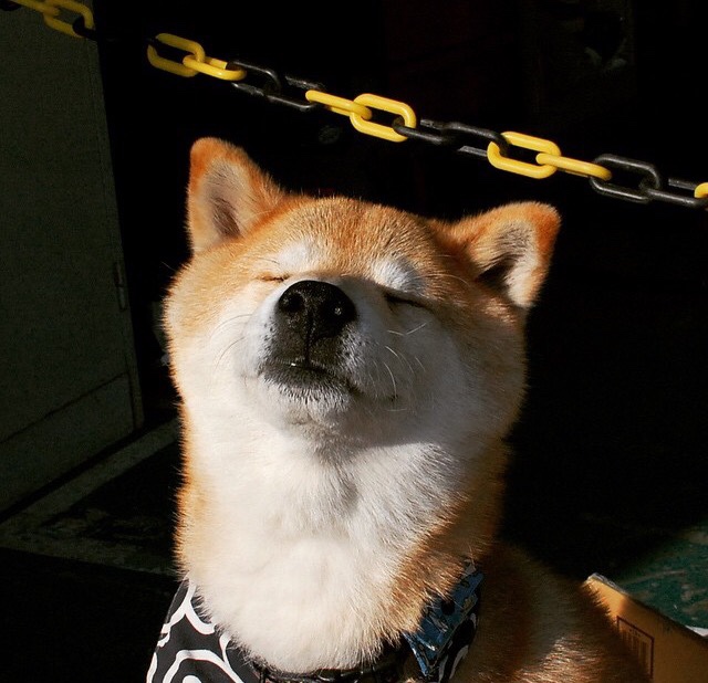 开云官网登录-“决胜瞬间！一颗全垒打定江山，现场沸腾”，全垒 一垒