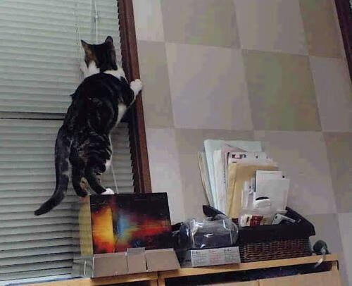 kaiyun 开云体育-“西甲明星连续得分，带队冲击榜首宝座”，西甲足球明星