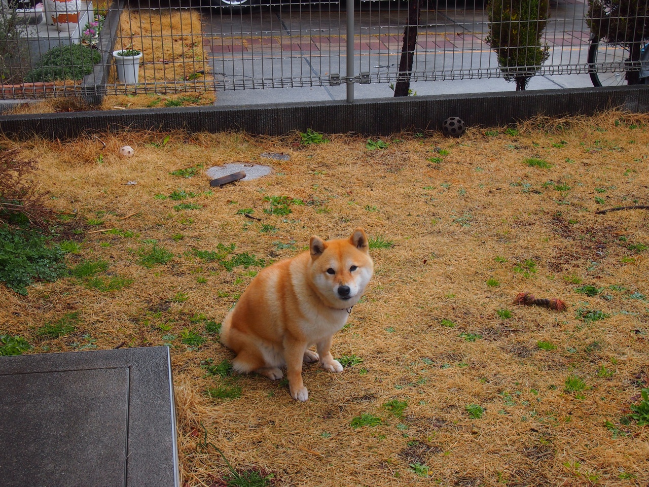 开云中国-“逆境求生”战术在欧冠中的奇效