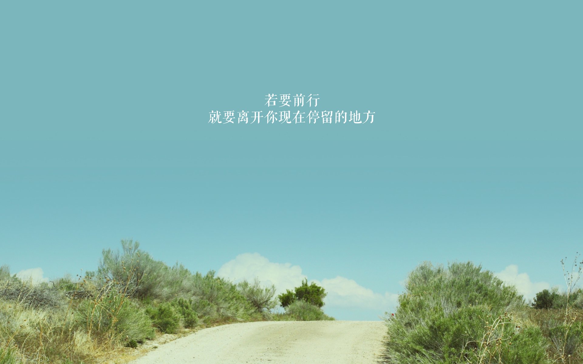 开云·体育官网APP下载-德甲“火力全开”，精彩瞬间让人目不转睛，德甲扩军至20支