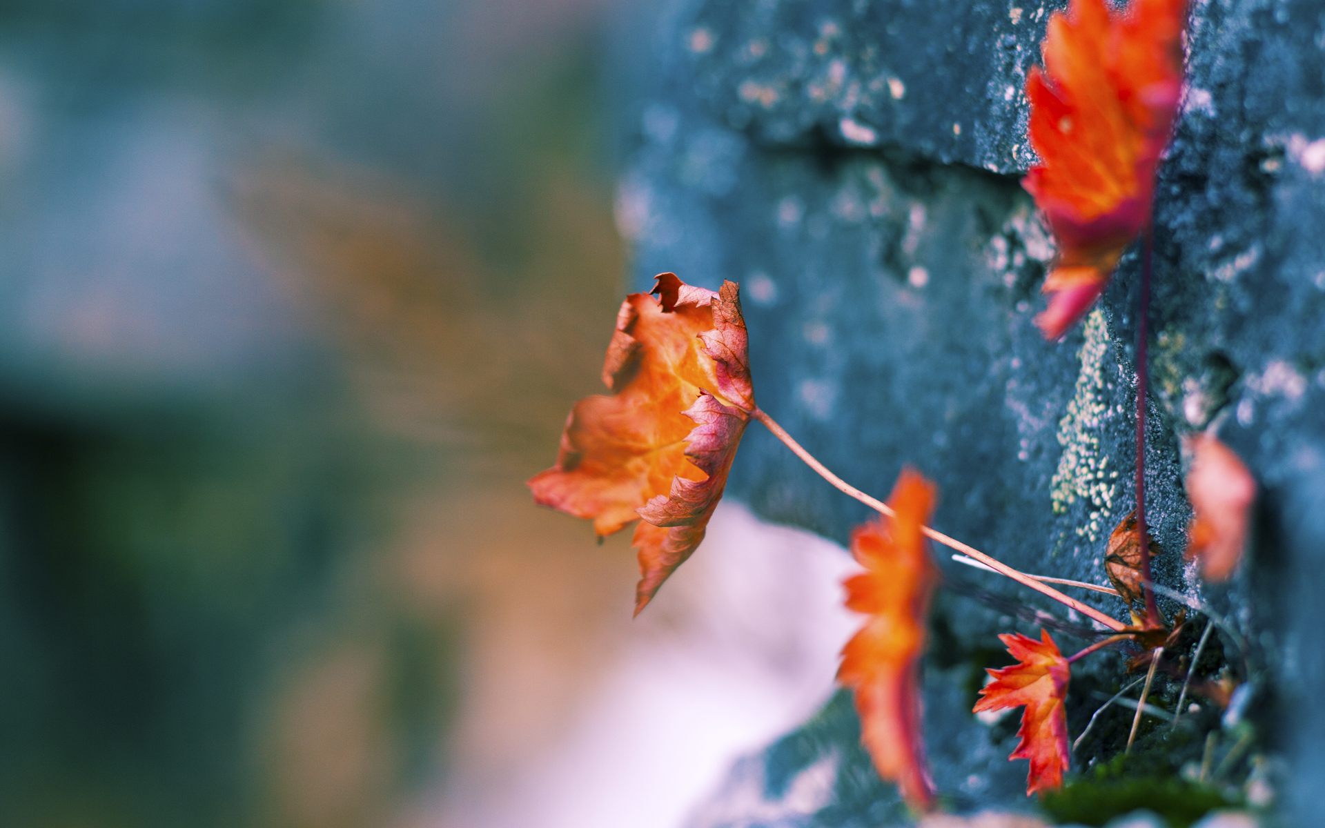 kaiyun开云·官方网站-全球篮球比赛的精彩瞬间成为热议焦点，篮球全球比赛视频直播