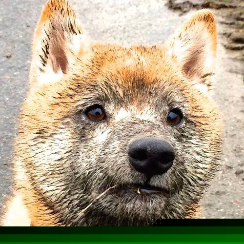 Kaiyun(中国)开云-切尔西客场挑战南安普顿，谁能占据上风？，切尔西vs南安普敦比分预测