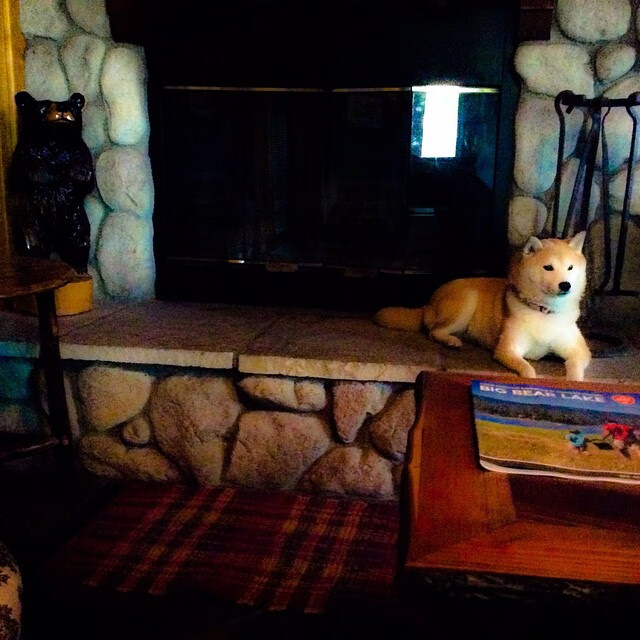 KAIYUN 中国大陆-浙江稠州战术打法持续调整，浙江稠州吧