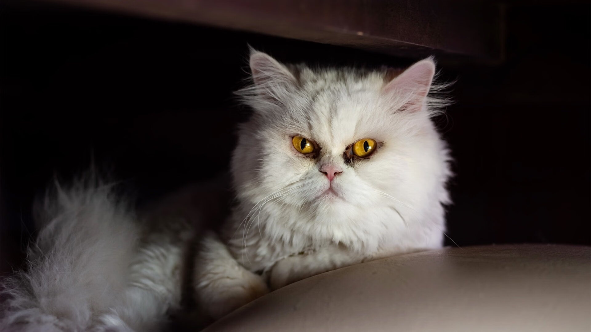 开云入口-纽伦堡获得一场胜利，助力排名上升，纽伦堡ds