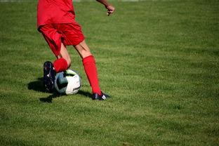 kaiyun登录入口-中国篮球青年运动员选拔体系研究，中国篮球国家青年队选拔方式