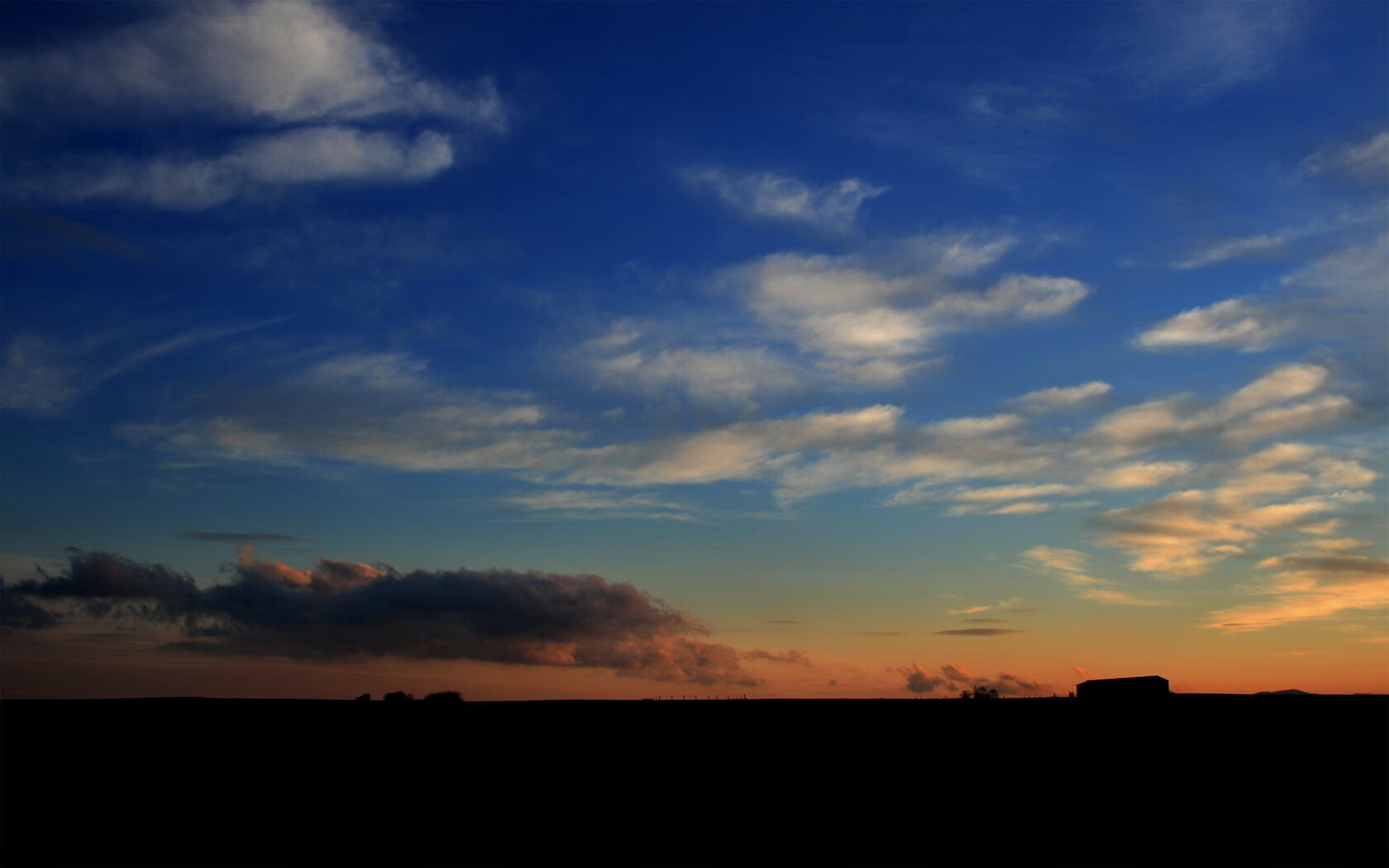 开云官方-冲刺爆发力数据揭秘冠军秘密，冲刺爆发谁的技能
