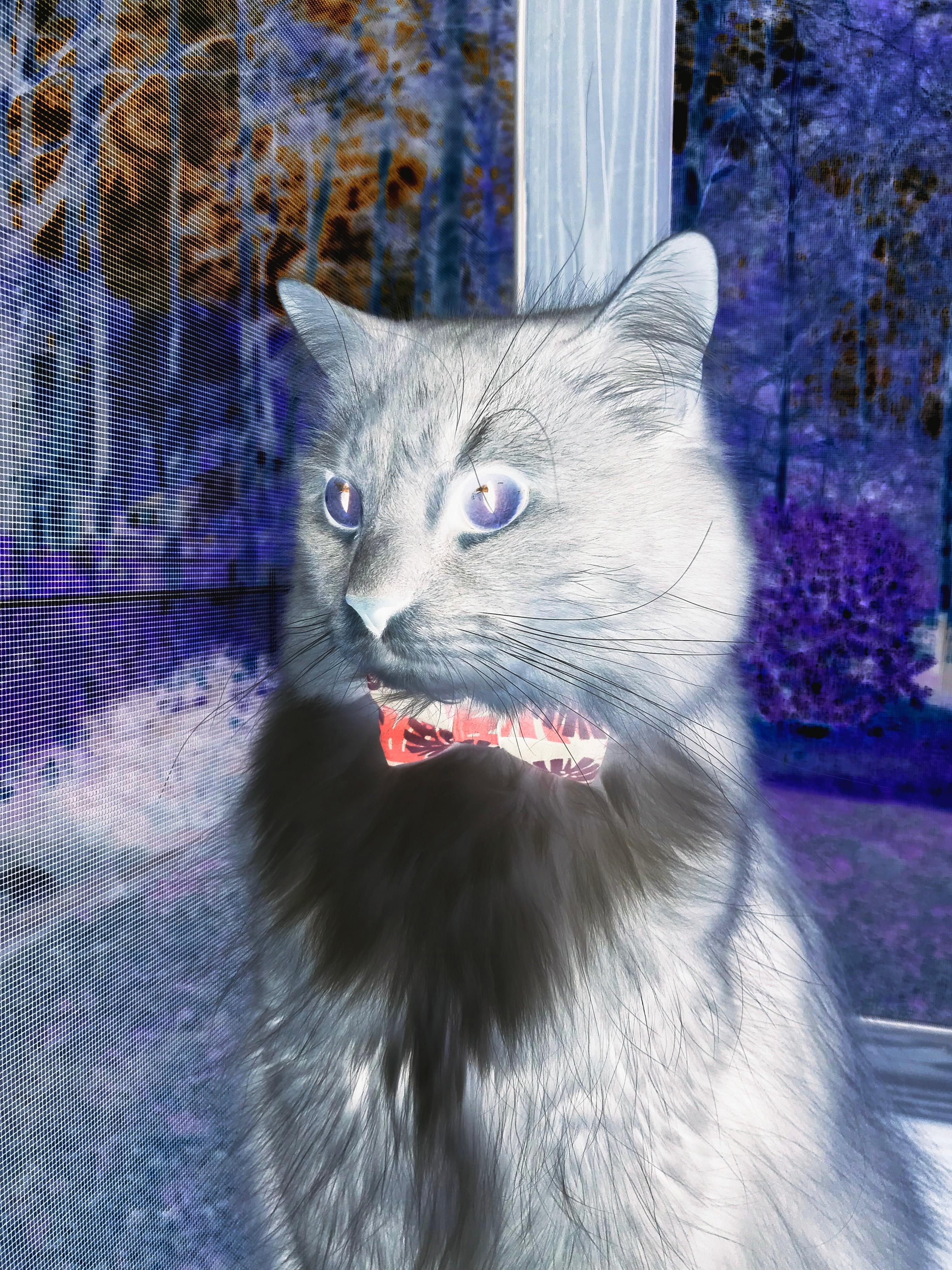 开云-丁俊晖逆转晋级赛后感谢父母支持，丁俊晖的努力